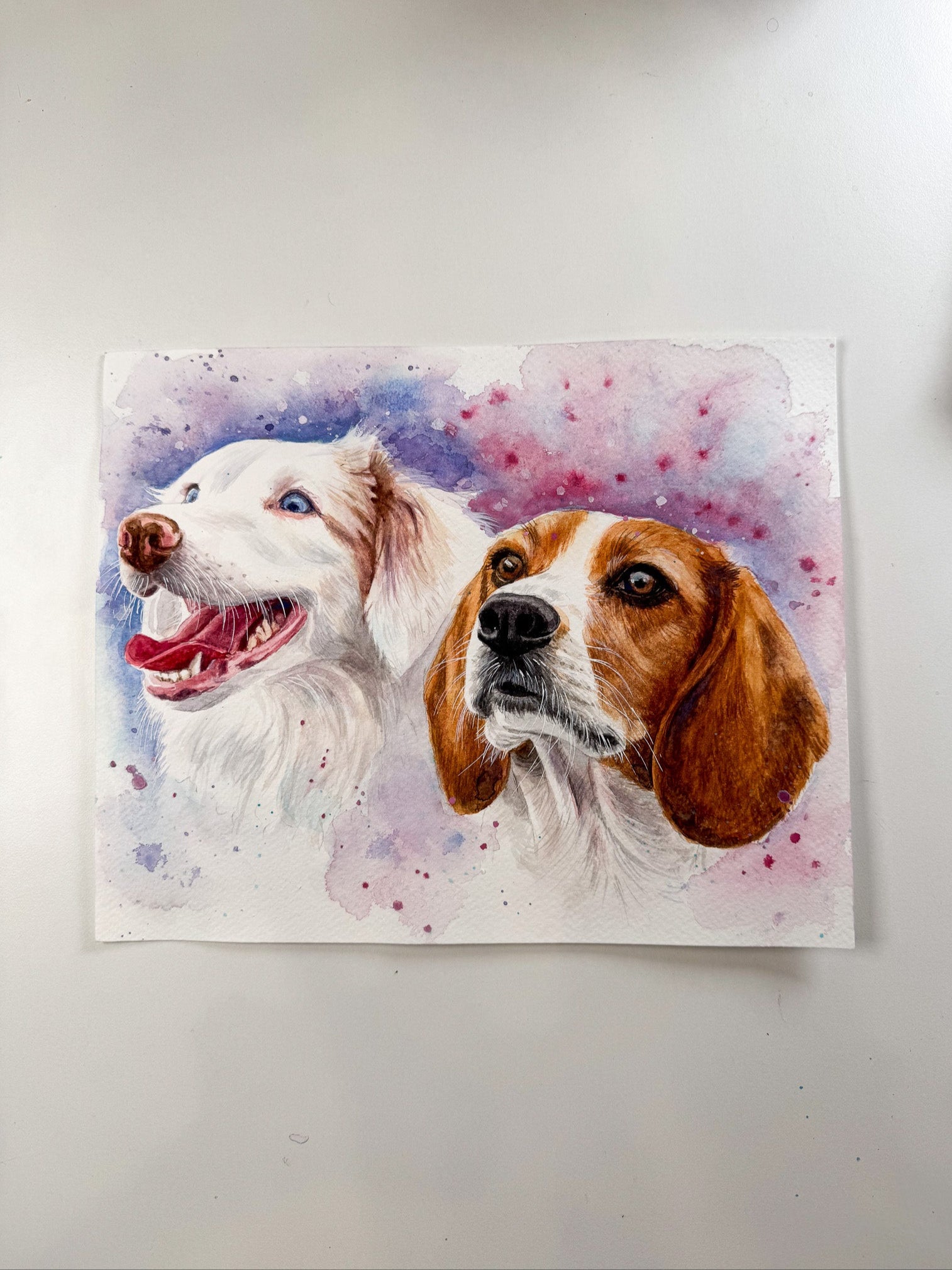 Multi dog portrait