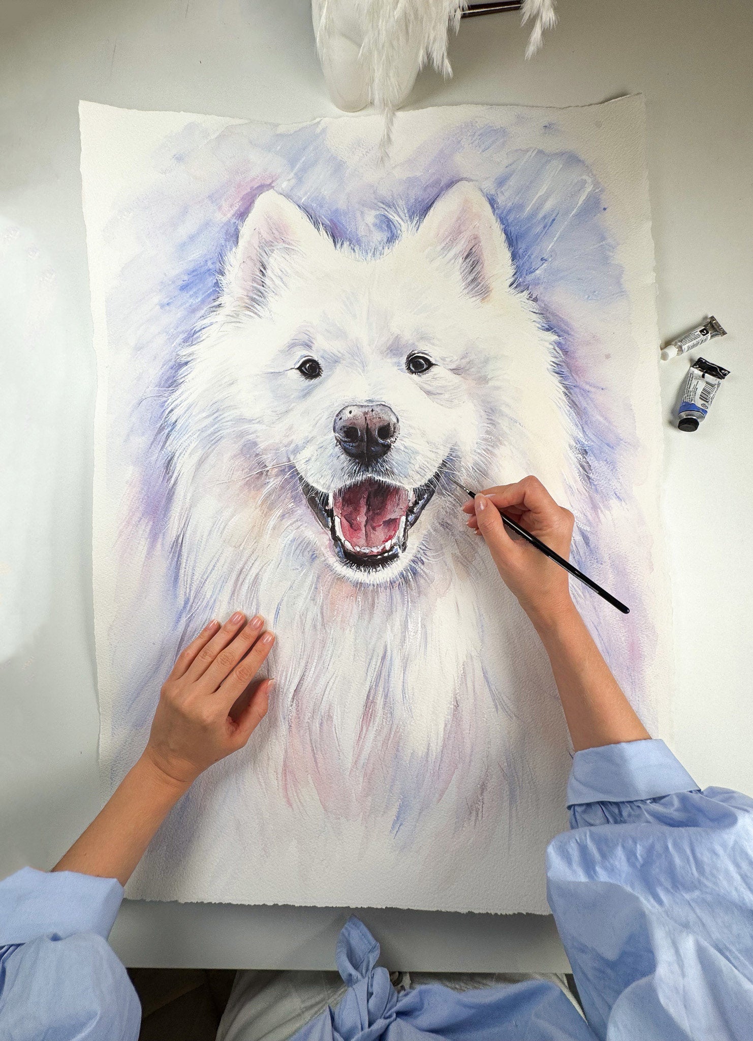 Custom watercolor dog portrait in progress, Felix Samoyed hand painted portrait