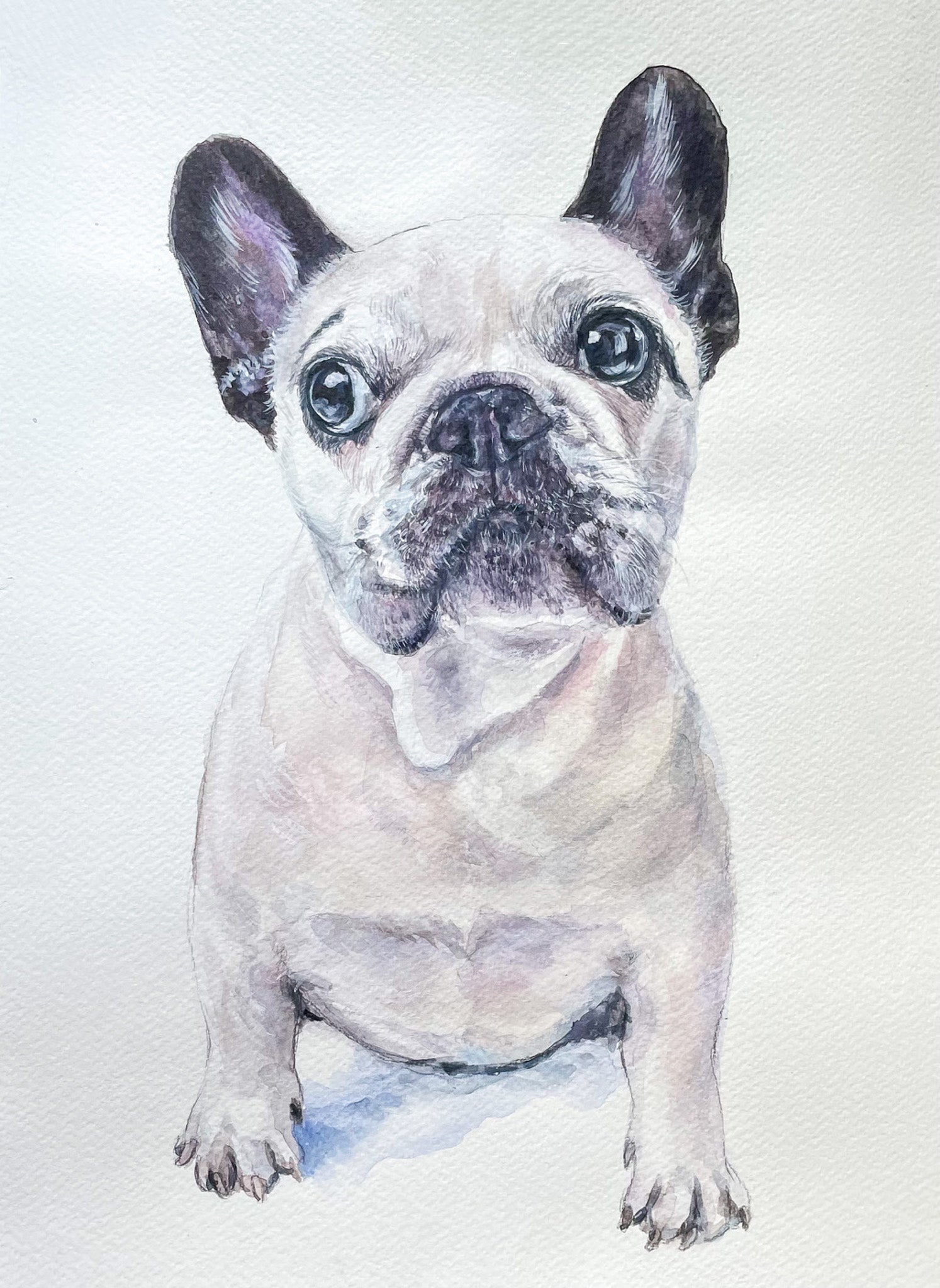 Custom watercolor portrait of French Bulldog, hand-painted artwork, dog portrait commission