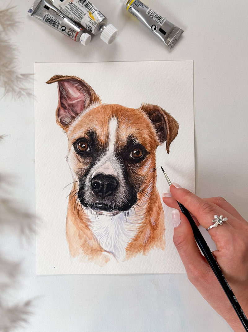 Hand-painted custom boxer dog portrait in watercolor, pet painting commission