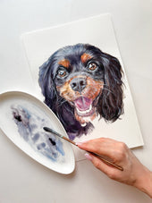 Custom watercolor portrait of a Cavalier King Charles Spaniel dog portrait in watercolor