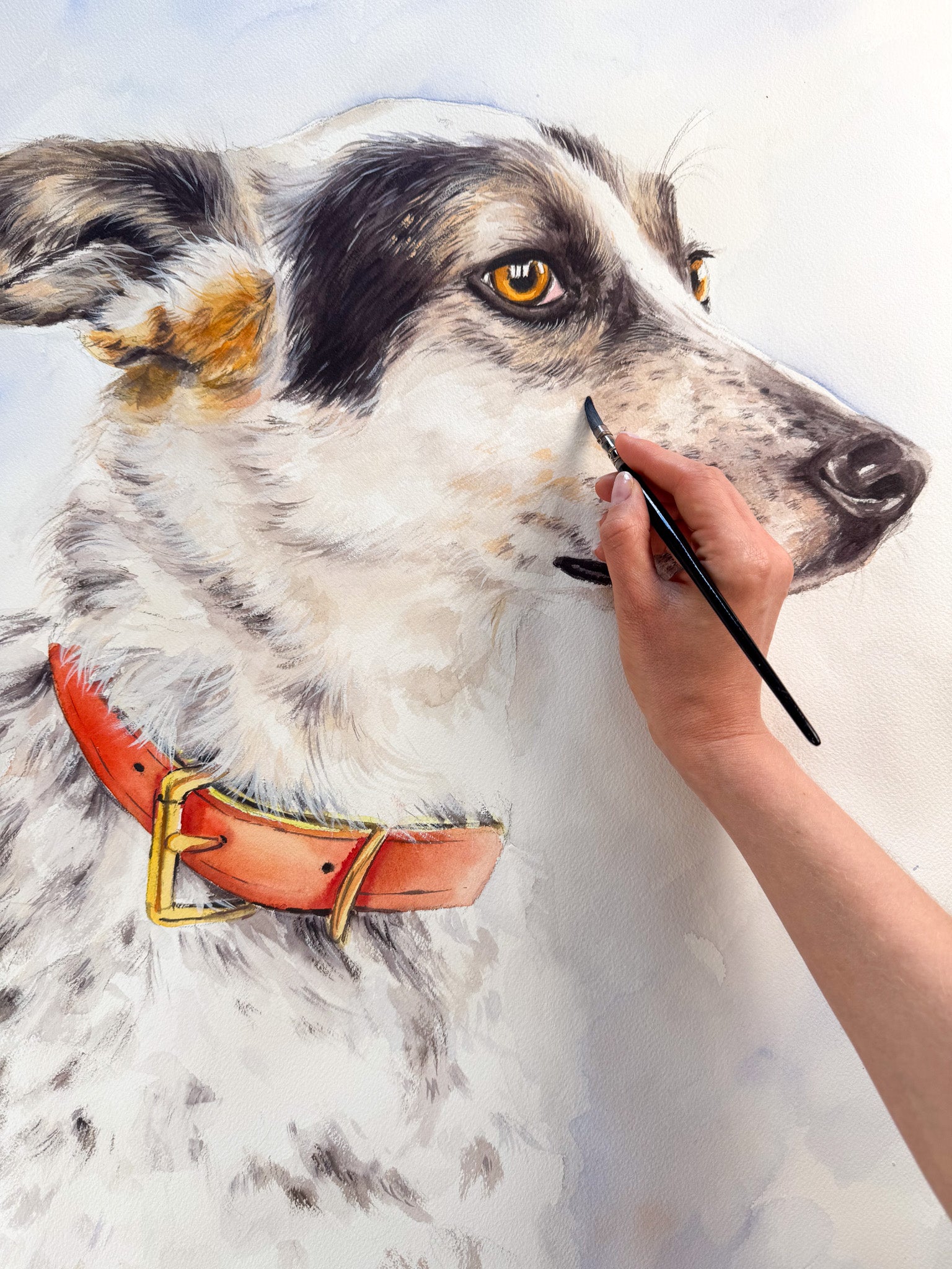 custom watercolor dog portrait hand made