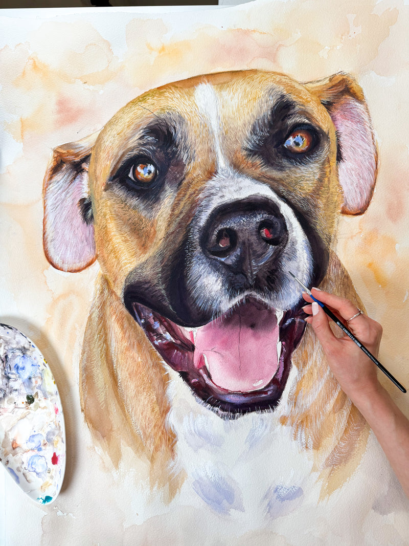custom large dog portrait in watercolor, pet portrait commission