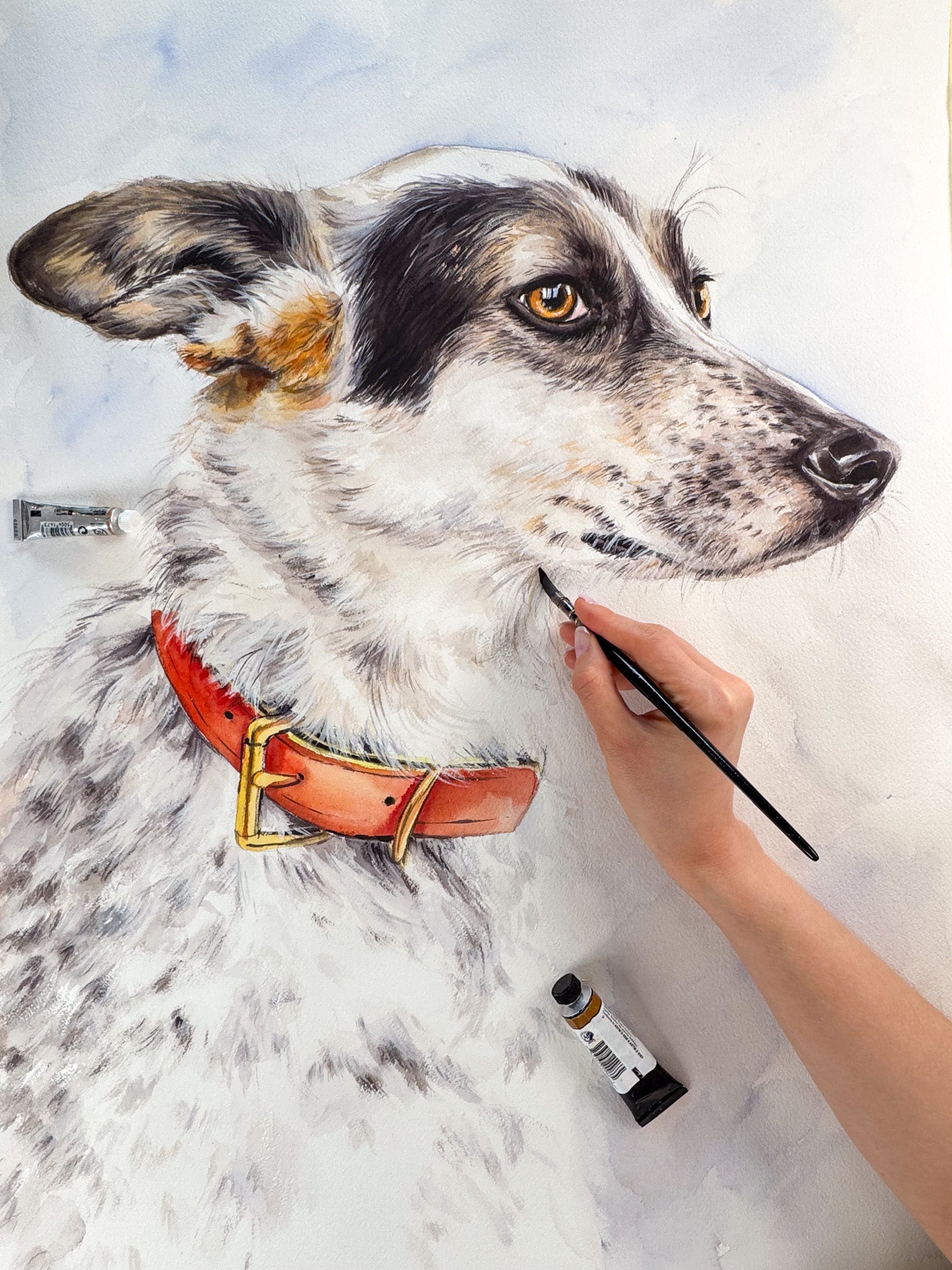 custom dog watercolor portrait 