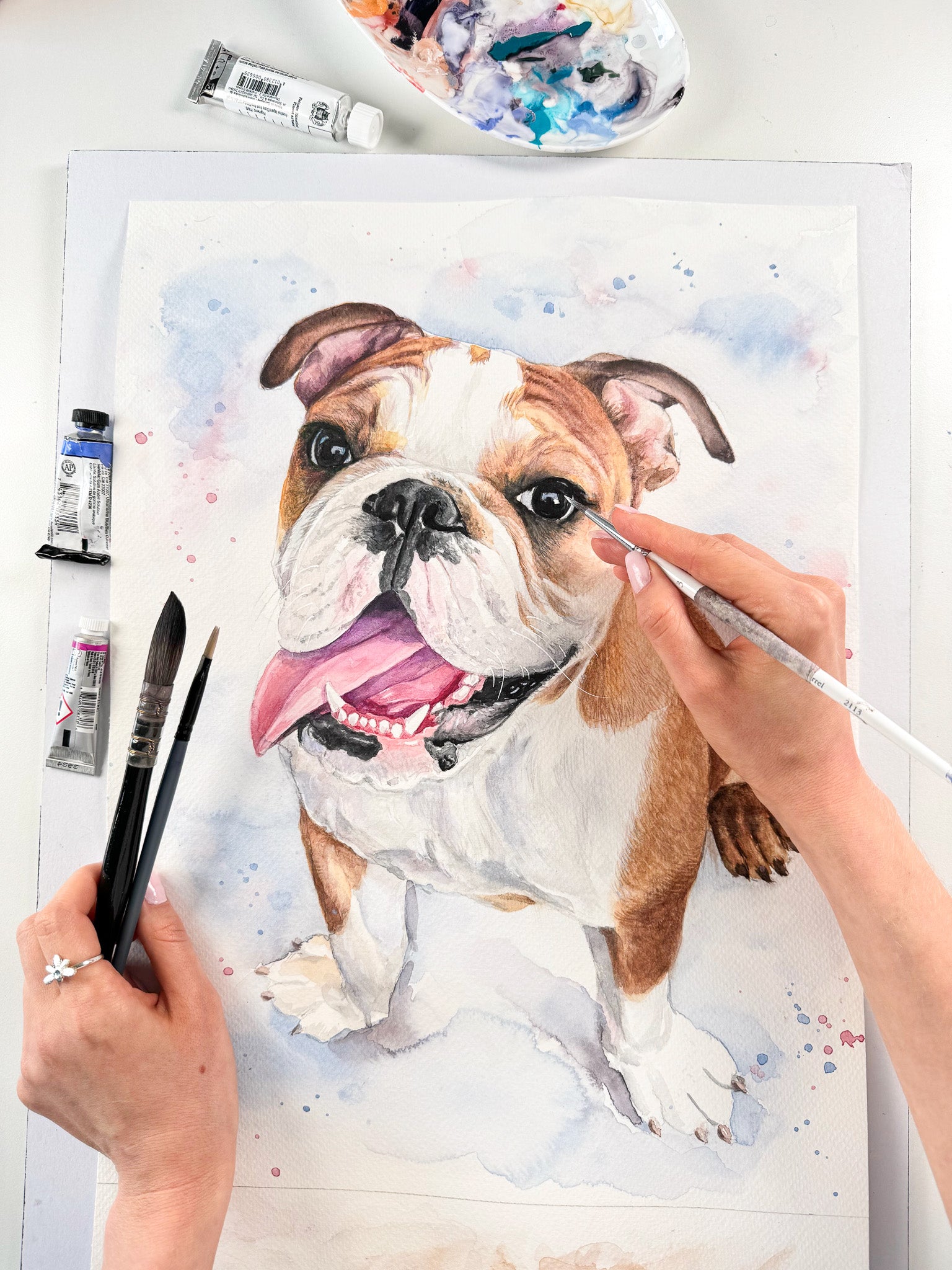 Custom watercolor portrait of a Bulldog dog, hand-painted