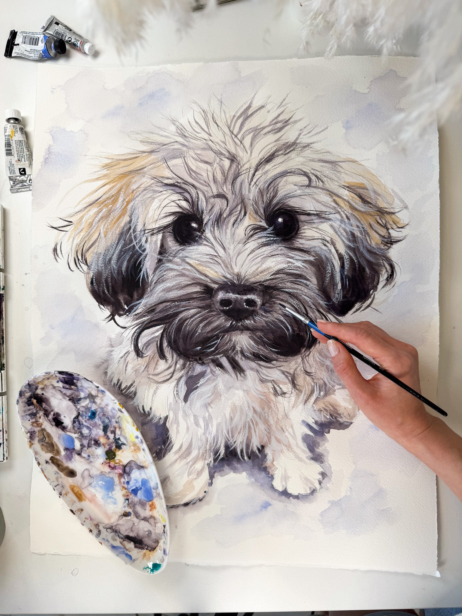 Custom watercolor portrait of Havanese dog, hand-painted